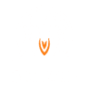 Skyrank-Logo